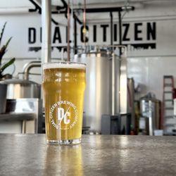 Dual Citizen Brewing - New Zils