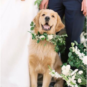 Intertwined Events - Party & Event Planning Near Me - Irvine, California