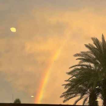 Speaks Clam Bar - St. Armands Circle - The rainbow view - Seafood Near Me - Sarasota, Florida