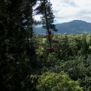 Just Live! Zipline Tours - Gorgeous Captain Cook Pines! - Tours Near Me