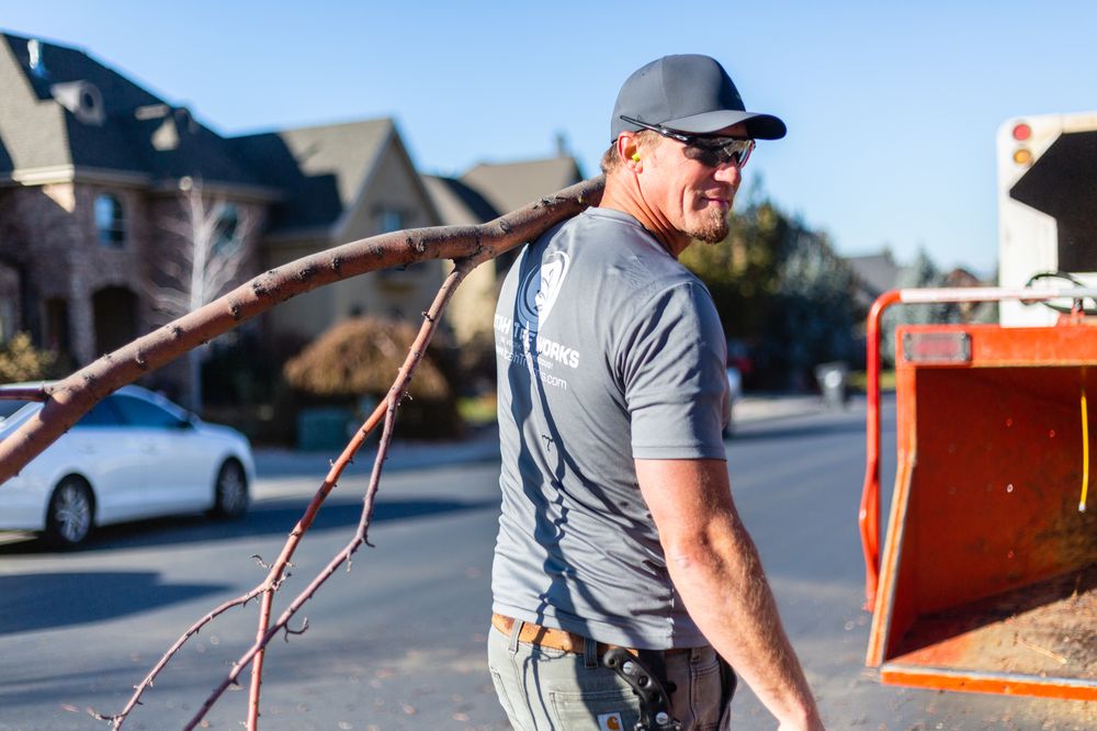 Utah Tree Works - tree service in Orem, UT