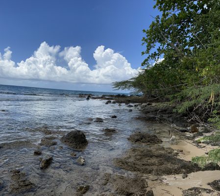 El Gallito ( Gringo Beach ) by null