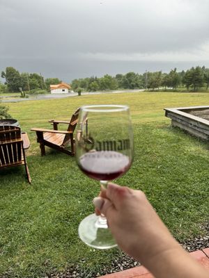 Damiani Wine Cellars by null