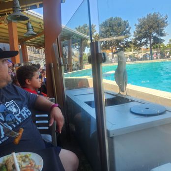 Dine With Orcas - Buffets Near Me - San Diego, California Dine With Orcas - Buffets Near Me - San Diego, California