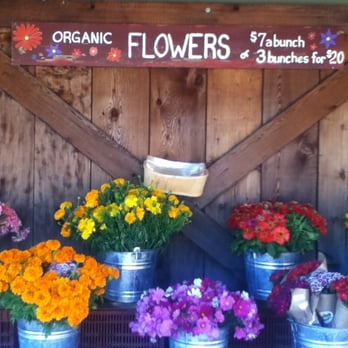 Earthbound Farm Stand - Gorgeous flowers, ended up buying a bundle of cosmos - Organic Stores Near Me - Carmel, California Earthbound Farm Stand - Gorgeous flowers, ended up buying a bundle of cosmos - Organic Stores Near Me - Carmel, California