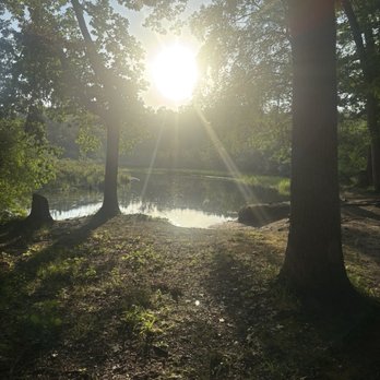 Proud Lake Recreation Area - Parks Near Me - Milford, Michigan
