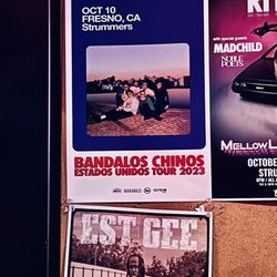 Strummer's
