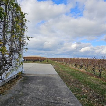 Pindar Vineyards - Wineries Near Me - Peconic, New York