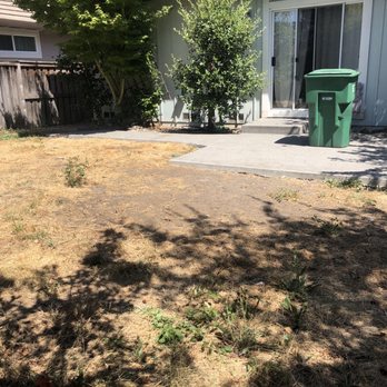 Blue Cypress Landscaping - Before photo - Landscaping Near Me - Penngrove, California Blue Cypress Landscaping - Before photo - Landscaping Near Me - Penngrove, California