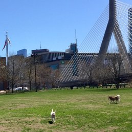 Great dog park Great dog park