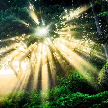 Brandon Smith Photography - Photo location - Event Photography Near Me - Kaneohe, Hawaii