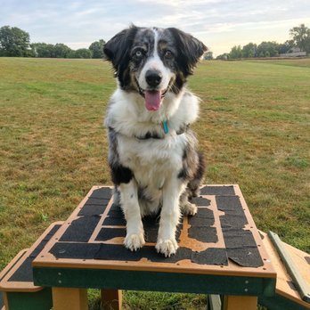 Meadow Run Dog Park - Pet Groomers Near Me - Kalamazoo Township, Michigan