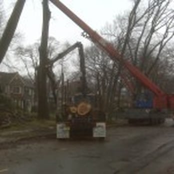 Landmarq Tree Service - Loading logs from a job in Wayne, with our crane and Log loader - Tree Services Near Me - Wayne, New Jersey Landmarq Tree Service - Loading logs from a job in Wayne, with our crane and Log loader - Tree Services Near Me - Wayne, New Jersey