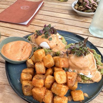 Casa Cami - Benedict - Breakfast & Brunch Near Me - Tampa, Florida Casa Cami - Benedict - Breakfast & Brunch Near Me - Tampa, Florida