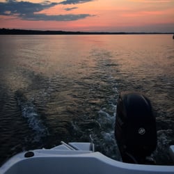 Dogboat Adventures