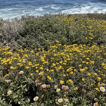 Wilder Ranch State Park - Parks Near Me - Santa Cruz, California Wilder Ranch State Park - Parks Near Me - Santa Cruz, California