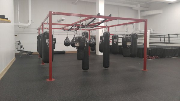 The Sporting Club at The Bellevue by null