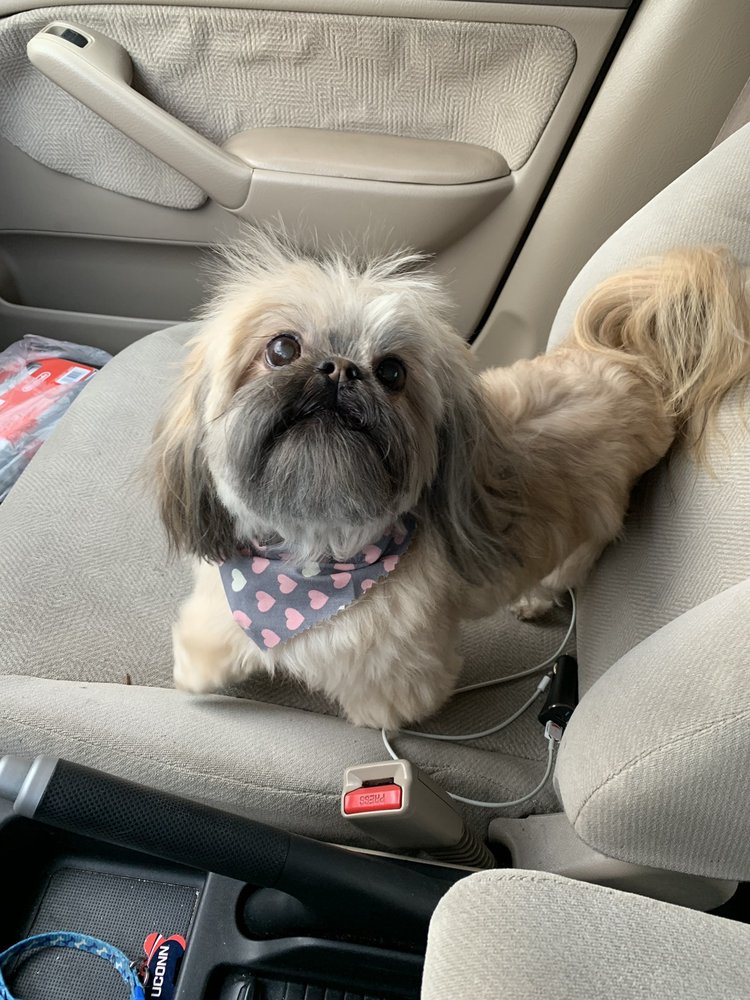 HEADS AND TAILS Updated October 2024 182 Quinnipiac St, Wallingford, Connecticut Pet