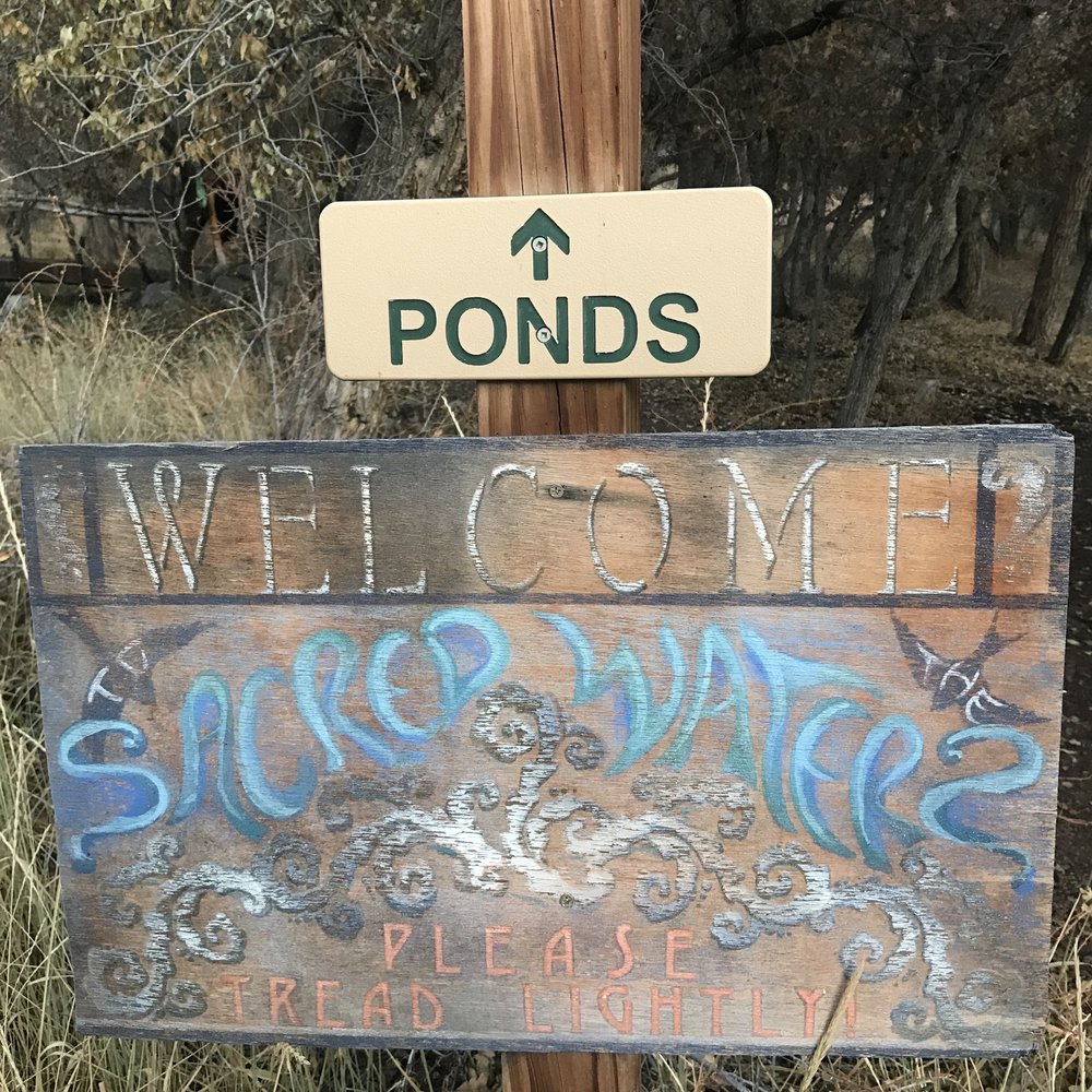 VALLEY VIEW HOT SPRINGS Updated September 2024 74 Photos & 48