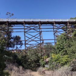 Maple Canyon Trail - Looking north towards the Quince Street Bridge