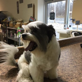 Paw Wash - Pet Groomers Near Me Paw Wash - Pet Groomers Near Me