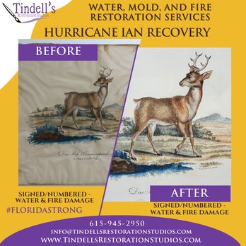 Tindell's Restoration Studios - Before & After - Art Restoration Near Me - Winter Haven, Florida Tindell's Restoration Studios - Before & After - Art Restoration Near Me - Winter Haven, Florida