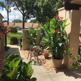 Younkman's Bamboo Gardens - Courtyard area - Landscaping Near Me - Sarasota, Florida Younkman's Bamboo Gardens - Courtyard area - Landscaping Near Me - Sarasota, Florida