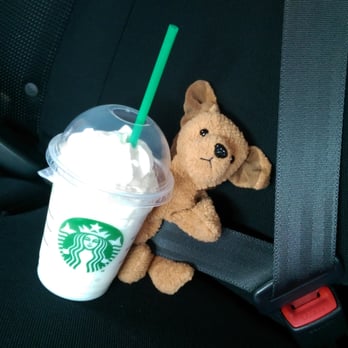 Starbucks - My baby girl's doggie, Tuffy (I know, it looks like a bear) got the hook up! - Coffee & Tea Near Me - Orland Park, Illinois