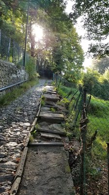 Faro Voltiano by null