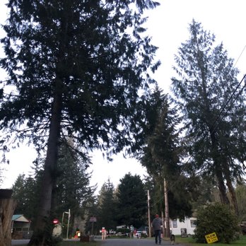 Riverbend Campground - Driveway right outside the gate going into the camp - Campgrounds Near Me - Olympia, Washington