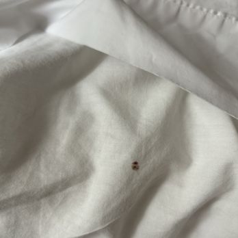 Hampton Inn Long Beach Airport - Nice stain on the pillow no idea what it is - Hotels Near Me - Long Beach, California Hampton Inn Long Beach Airport - Nice stain on the pillow no idea what it is - Hotels Near Me - Long Beach, California