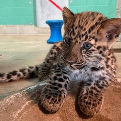 Utah's Hogle Zoo
