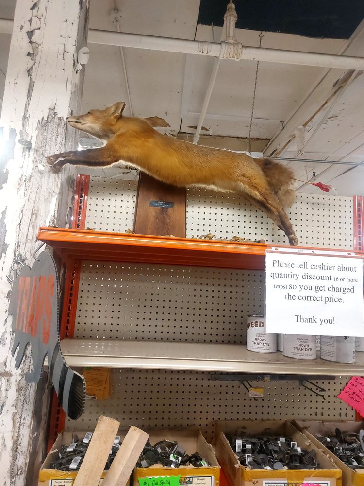 WORTH W SMITH CO SURPLUS Updated August 2024 12 Photos 1624 W