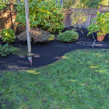 Lawn Esthetic - Lawn Services Near Me - Tacoma, Washington Lawn Esthetic - Lawn Services Near Me - Tacoma, Washington