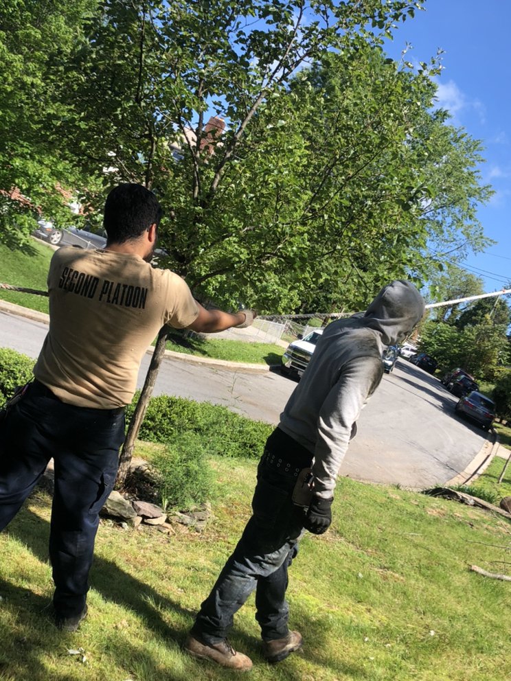 Slide of Bonilla Lumber Jacks