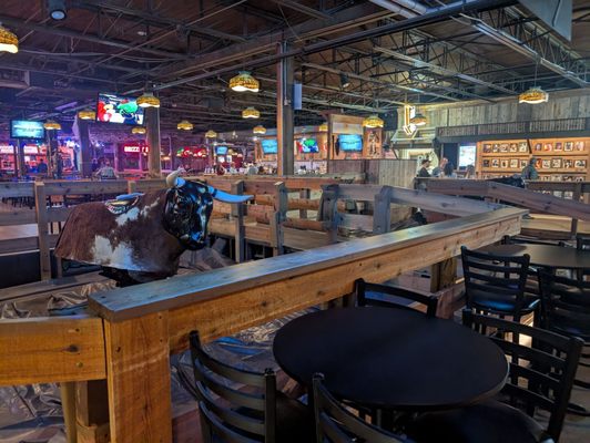 The Grizzly Rose by null