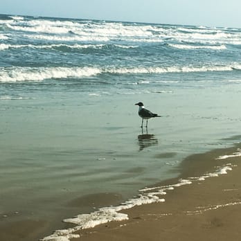 Padre Balli Surf Park - Beaches Near Me - Corpus Christi, Texas