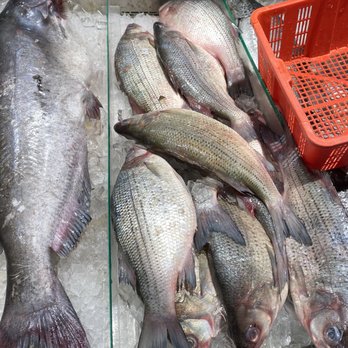 99 Ranch Market - Seafood Markets Near Me - Fairfax, Virginia
