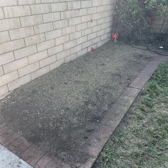 Cutters Tree Experts - Tree Services Near Me - Orange, California Cutters Tree Experts - Tree Services Near Me - Orange, California