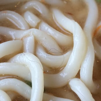 Umami Noodle Bar - Hair in my noodles! - Noodles Near Me - Bangor, Maine Umami Noodle Bar - Hair in my noodles! - Noodles Near Me - Bangor, Maine