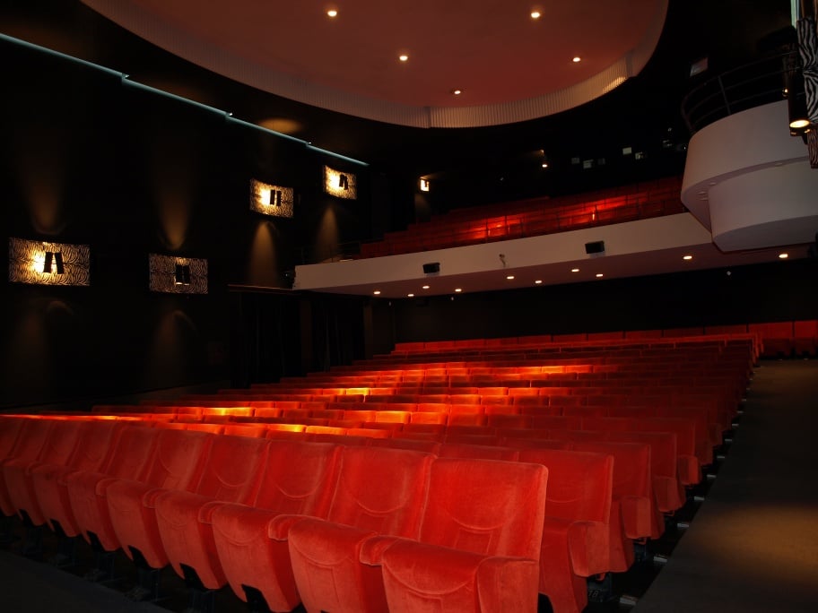 Kino Arthouse Le Paris
