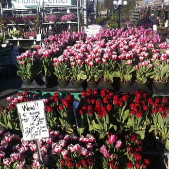Richardson’s Floral Center - I heart tulips! - Nurseries & Gardening Near Me - Newark, Delaware Richardson’s Floral Center - I heart tulips! - Nurseries & Gardening Near Me - Newark, Delaware