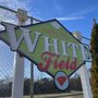 Photo of Wendell White Field