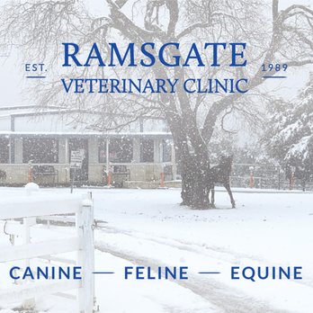 Ramsgate Veterinary Clinic - Veterinarians Near Me - Woodway, Texas Ramsgate Veterinary Clinic - Veterinarians Near Me - Woodway, Texas