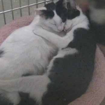 PetSmart - Awwwww - Pet Stores Near Me - Tracy, California