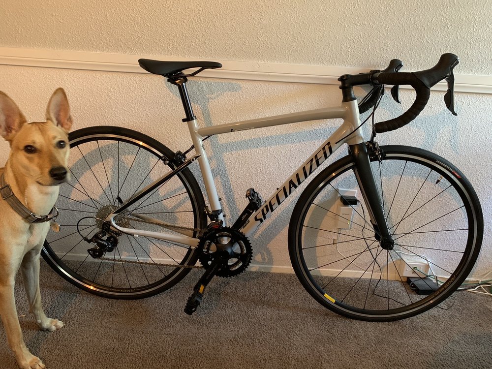 PULSE ENDURANCE SPORTS Updated September 2024 50 Photos & 147