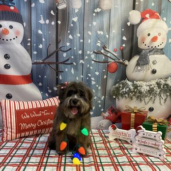 Trophy Paws Pet Grooming - Pet Groomers Near Me - Chicago, Illinois Trophy Paws Pet Grooming - Pet Groomers Near Me - Chicago, Illinois