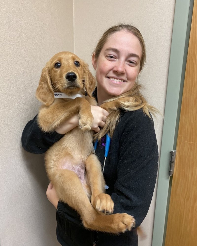 BOCAGE ANIMAL HOSPITAL Updated October 2024 12 Photos 7353