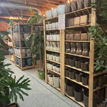 Birdsall & Co - Nurseries & Gardening Near Me - Englewood, Colorado Birdsall & Co - Nurseries & Gardening Near Me - Englewood, Colorado