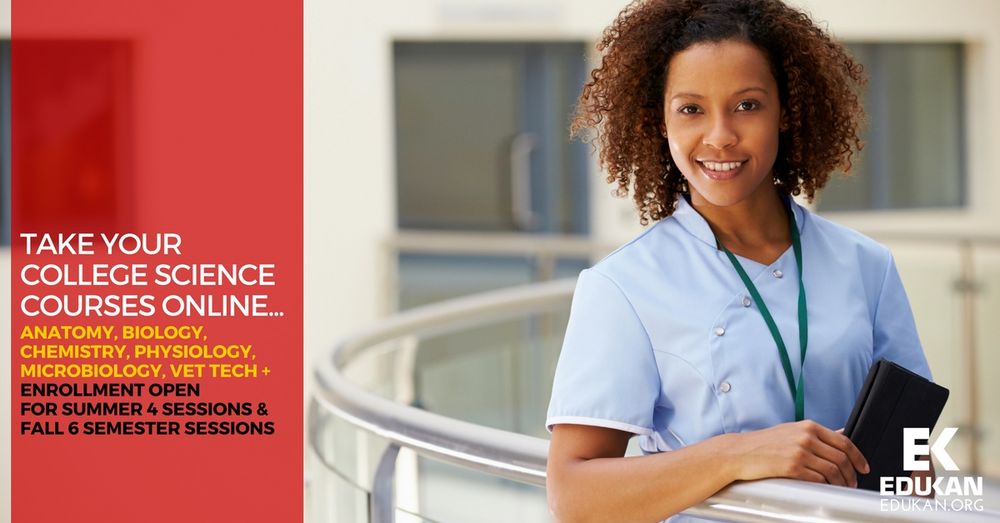 Edukan - reading tutor in Overland Park, KS